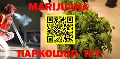 сатива Будённовск