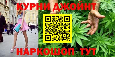 сатива Будённовск