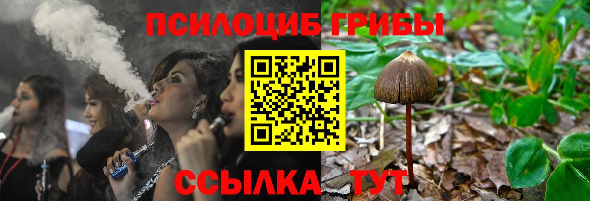 Псилоцибиновые грибы Psilocybine cubensis  Вход с VPN  цены   Коркино 